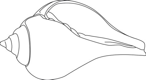 Toradh íomhá ar Conch Shell Drawing Red Line Art