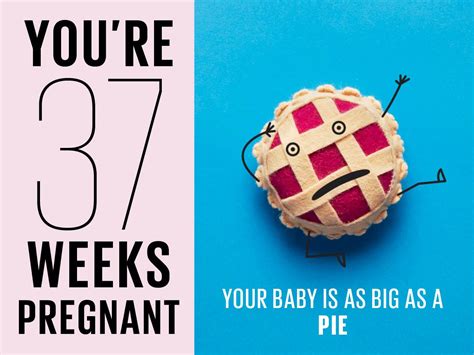 Image result for 37 Week Pregnancy Chart