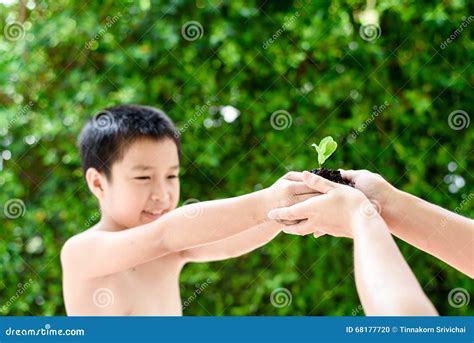Image result for Plants Grab Boy's Arm