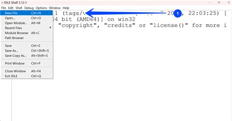 Image result for Can You Using Idle for Text File Handling