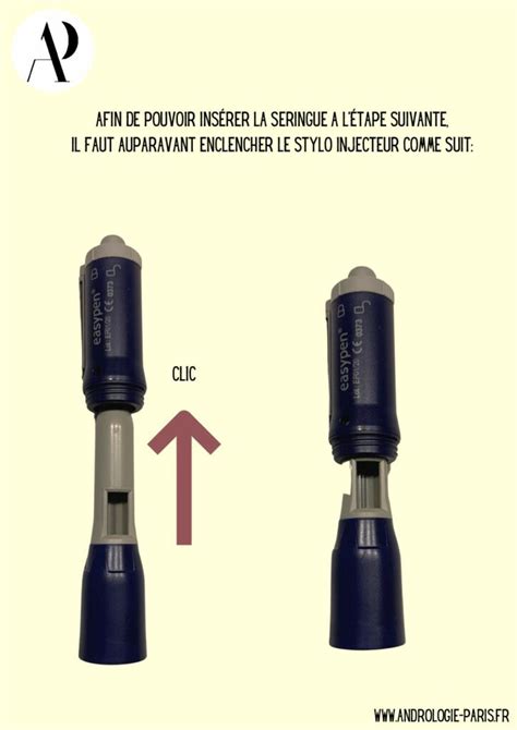 Toradh íomhá ar Stylo Injection