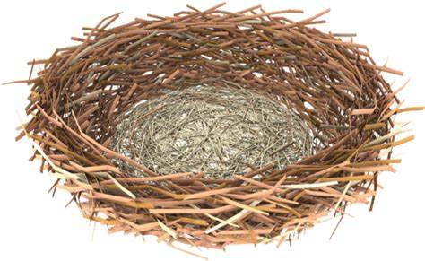 Image result for Nesting Structure