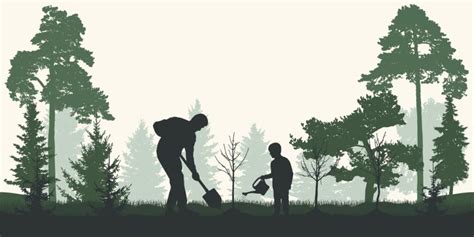 Toradh íomhá ar Background for Tree Planting