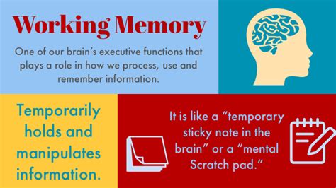 Image result for Working Memory Definition