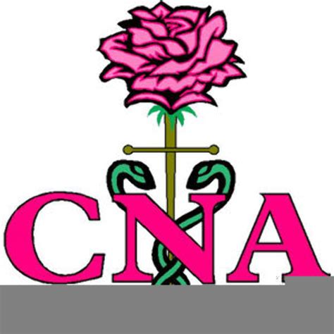 Image result for CNA Classes Online