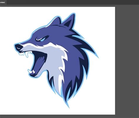 Image result for Converting to Vector Graphics