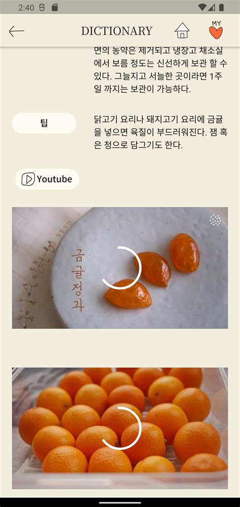 Image result for Loading Screen in Flutter