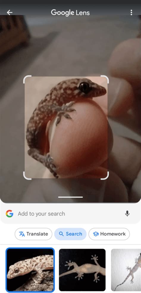 Image result for Google Lens Python