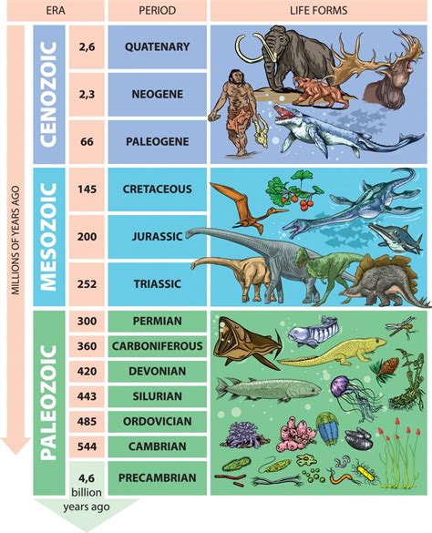 Geologic Time Scale に対する画像結果