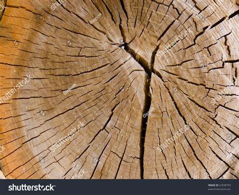 Résultat d’images pour Internal Tree Structure