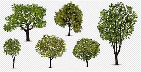 Image result for Free Vector Graphics Trees