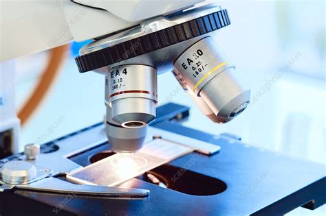 Toradh íomhá ar Microscope in Lab