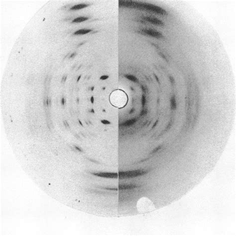 Image result for Diffraction and Interference