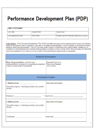 Image result for Performance Development Process Examples