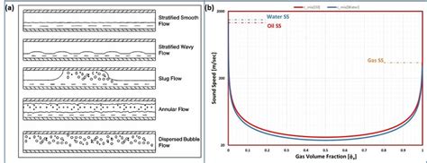 Multiphase Flow Loop に対する画像結果