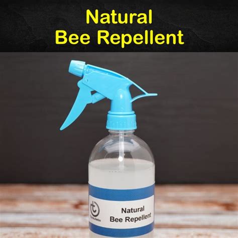 Image result for What Is a Natural Bee Repellent