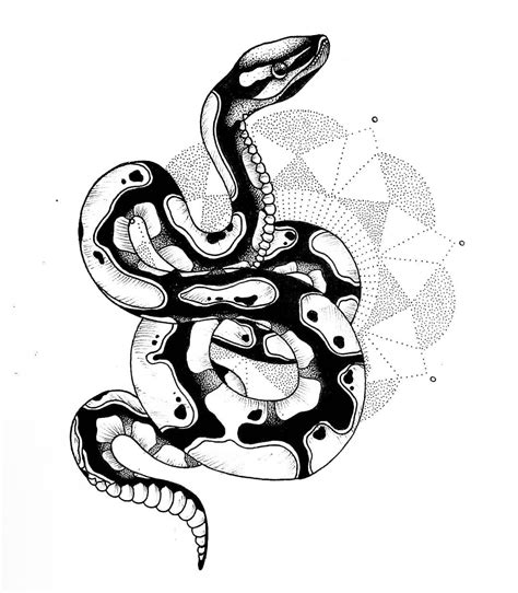 Toradh íomhá ar Ball Python Tattoo Designs Outline