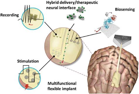 Afbeeldingsresultaten voor Neural Interface