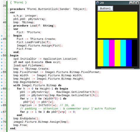 Image result for Lazarus Bitmap