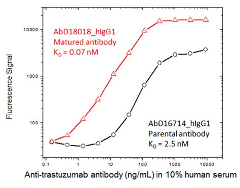Afbeeldingsresultaten voor Affinity Maturation Method