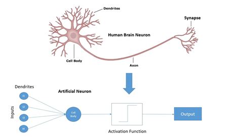 Toradh íomhá ar Neuron Connection Brain Illustration with Deep Learning
