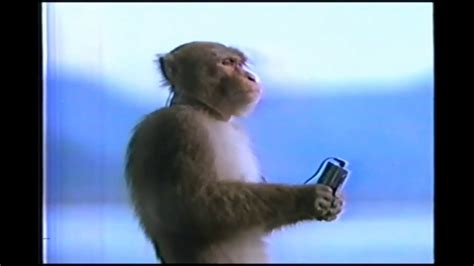 Image result for Monkey in Garage Meme Song