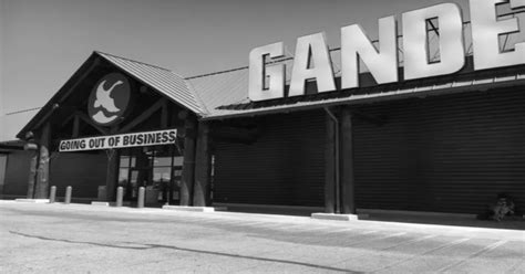 Toradh íomhá ar Fixed Position Tree Stands