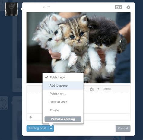 How to Edit HTML Tumblr Blog Cool with CodePen-এর ছবি ফলাফল
