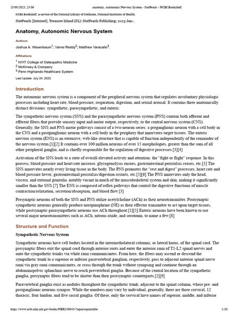 Anatomy, Autonomic Nervous System - StatPearls - NCBI Bookshelf | PDF ...