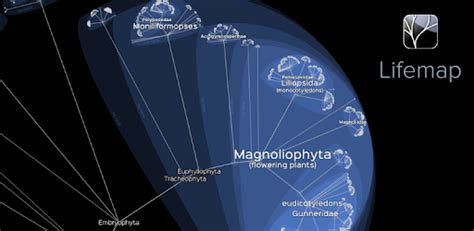 Image result for LifeMap Evolution Tree