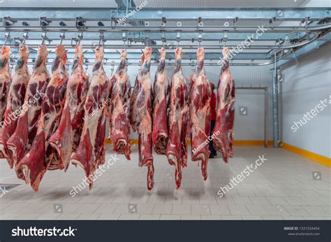 Image result for Slaughter Beef Cows
