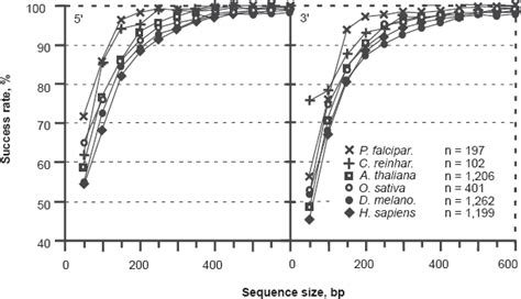 Image result for Coding Frame Printable