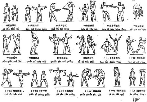 Tai Chi Chart に対する画像結果