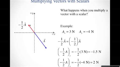 Image result for Multiplying Vector by a Scalar