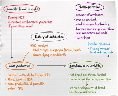 Afbeeldingsresultaten voor Tree of Life Essay Examples of Mind Map