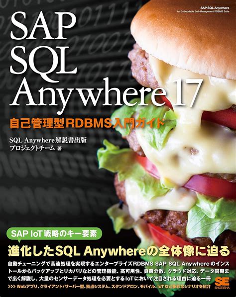 SAP SQL に対する画像結果