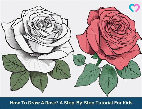 Draw a Rose Tutorial に対する画像結果