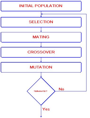 Image result for Algorithm Biology