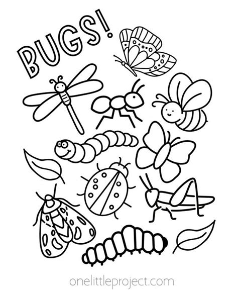 Spring Bugs Coloring に対する画像結果