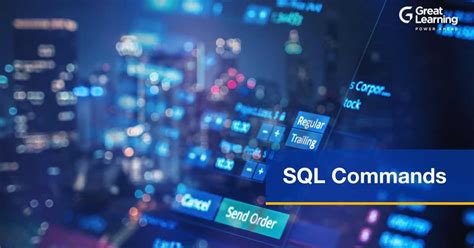 Dql Commands in SQL に対する画像結果