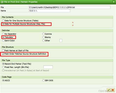 Toradh íomhá ar LSMW Direct Input Sample Data