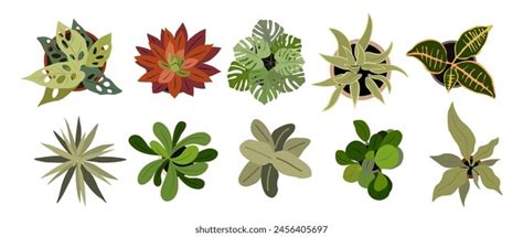 Overhead Tree Vector に対する画像結果