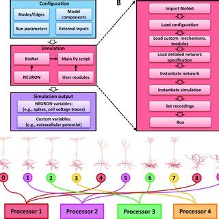 Image result for Computer Science Running Model