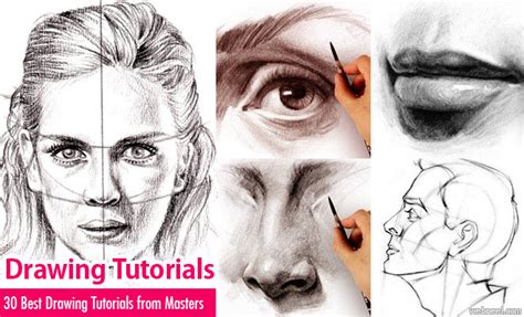 Image result for Video Tutorial in Adults