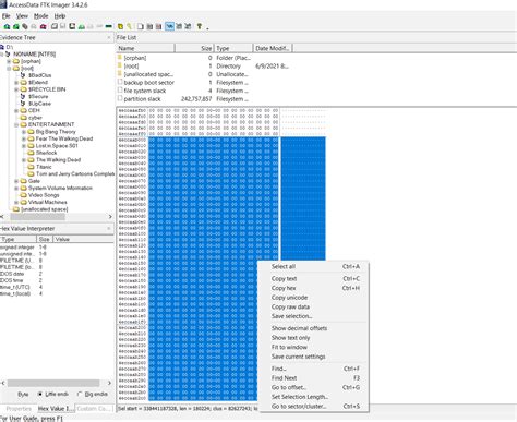 Toradh íomhá ar File Allocation Table FTK Imager
