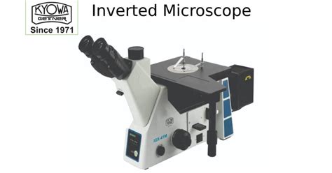 Résultat d’images pour Inverted Microscope Magnifications