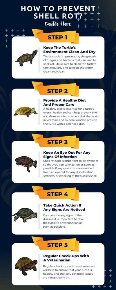 Toradh íomhá ar Healed Shell Rot