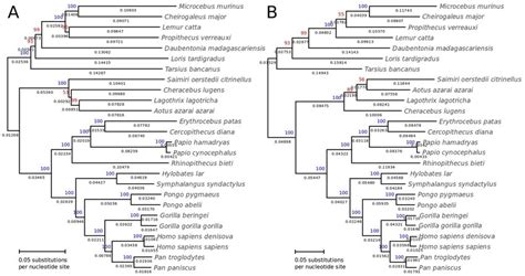 Image result for Maximum Likelihood Evolution