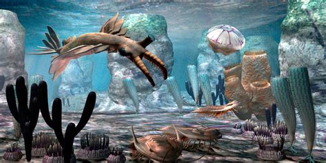 Image result for Cambrian Explosion Documentary