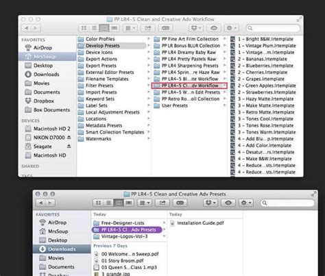 Toradh íomhá ar Install Lightroom Presets